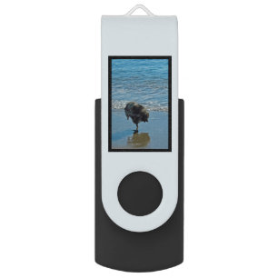 Keeshond Ballet Photograph - Cute Original Dog Art Flash Drive