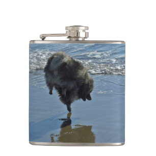Keeshond Ballet Photograph - Cute Original Dog Art Flask