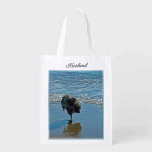 Keeshond Ballet Photograph - Cute Original Dog Art Grocery Bag