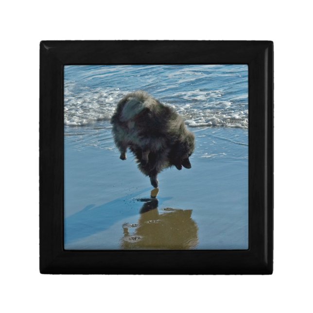 Keeshond Ballet Photograph - Cute Original Dog Art Jewelry Box (Front)