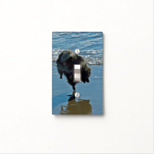 Keeshond Ballet Photograph - Cute Original Dog Art Light Switch Cover
