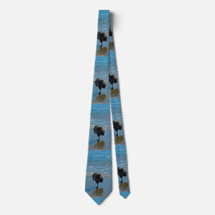 Keeshond Ballet Photograph - Cute Original Dog Art Neck Tie