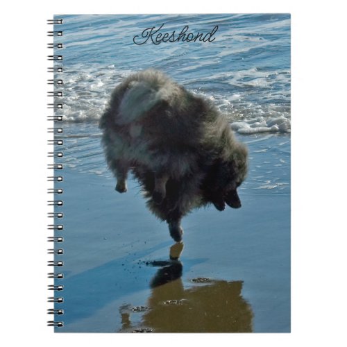 Keeshond Ballet Photograph _ Cute Original Dog Art Notebook