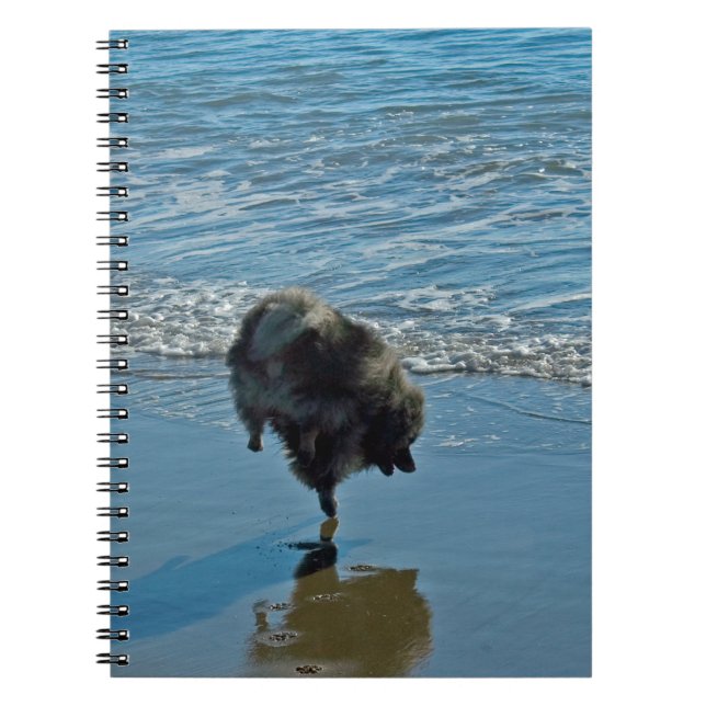 Keeshond Ballet Photograph - Cute Original Dog Art Notebook (Front)