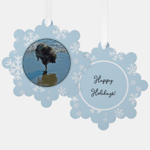Keeshond Ballet Photograph - Cute Original Dog Art Ornament Card