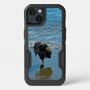 Keeshond Ballet Photograph - Cute Original Dog Art iPhone 13 Case