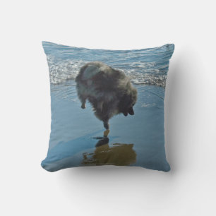 Keeshond Ballet Photograph - Cute Original Dog Art Outdoor Pillow
