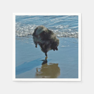 Keeshond Ballet Photograph - Cute Original Dog Art Paper Napkins