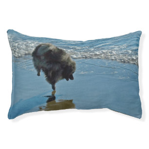 Keeshond Ballet Photograph - Cute Original Dog Art Pet Bed