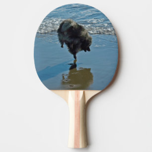Keeshond Ballet Photograph - Cute Original Dog Art Ping-Pong Paddle