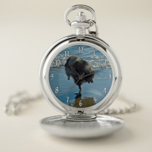 Keeshond Ballet Photograph - Cute Original Dog Art Pocket Watch