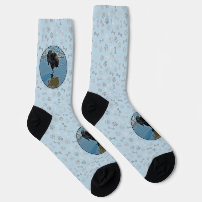 Keeshond Ballet Photograph - Cute Original Dog Art Socks (Right)