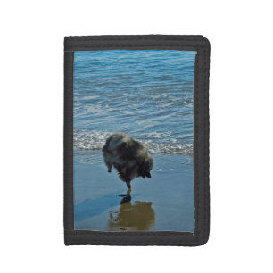 Keeshond Ballet Photograph - Cute Original Dog Art Tri-fold Wallet
