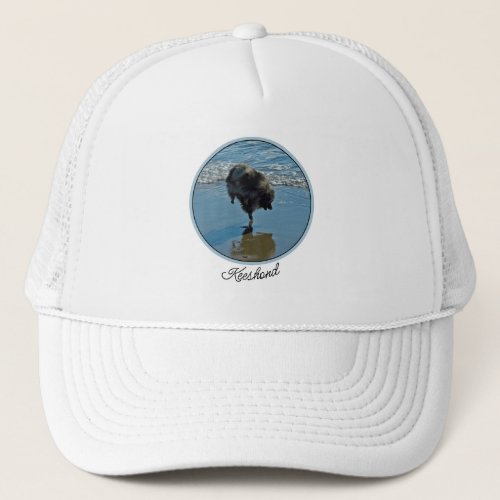 Keeshond Ballet Photograph _ Cute Original Dog Art Trucker Hat