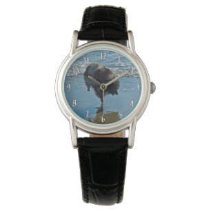 Keeshond Ballet Photograph - Cute Original Dog Art Watch