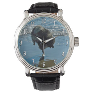 Keeshond Ballet Photograph - Cute Original Dog Art Watch