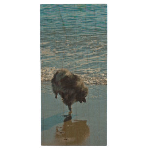 Keeshond Ballet Photograph - Cute Original Dog Art Wood Flash Drive