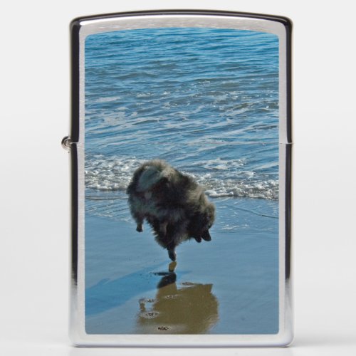 Keeshond Ballet Photograph _ Cute Original Dog Art Zippo Lighter