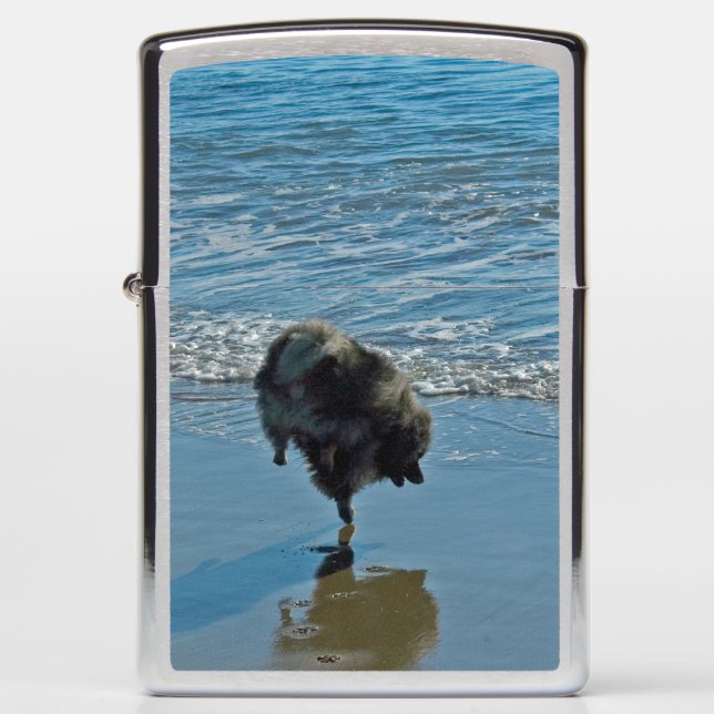 Keeshond Ballet Photograph - Cute Original Dog Art Zippo Lighter (Front)