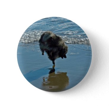 Keeshond Ballet Pinback Button Keeshond Ballet Pinback Button