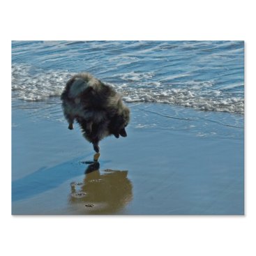 Keeshond Ballet Sign Keeshond Ballet Sign