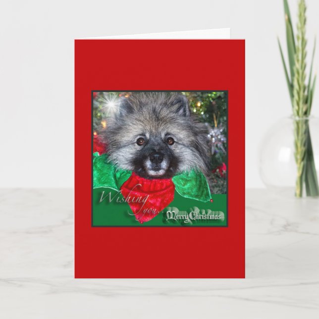 Keeshond Christmas card (Front)