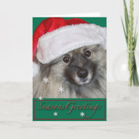 Keeshond Christmas card