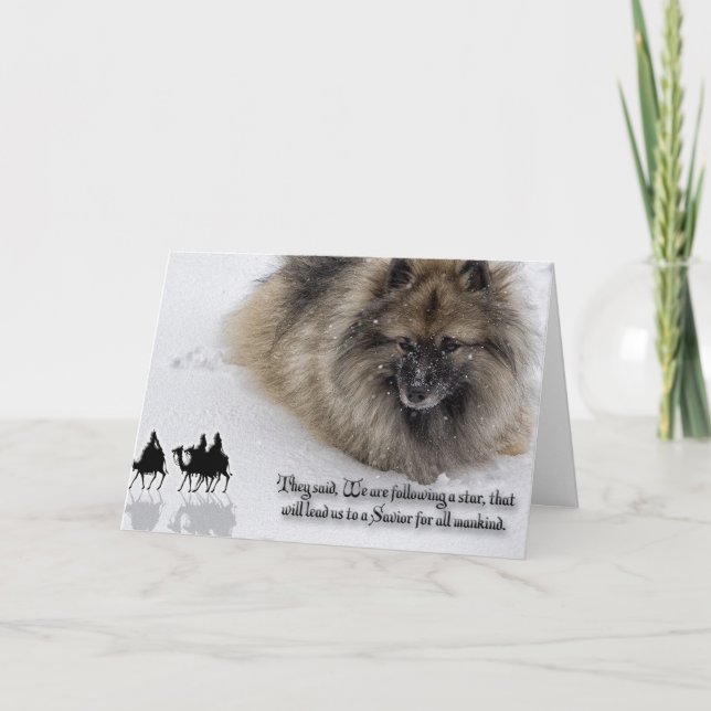 Keeshond Christmas card "Three Wise Men" (Front)