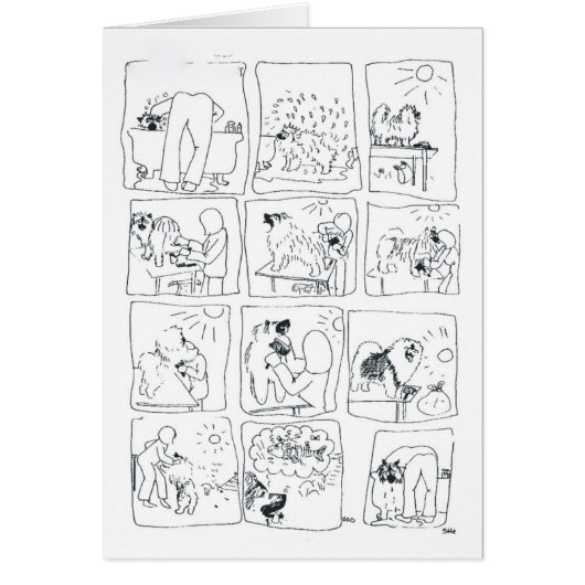 Keeshond comic Bathtime Cards (Front)