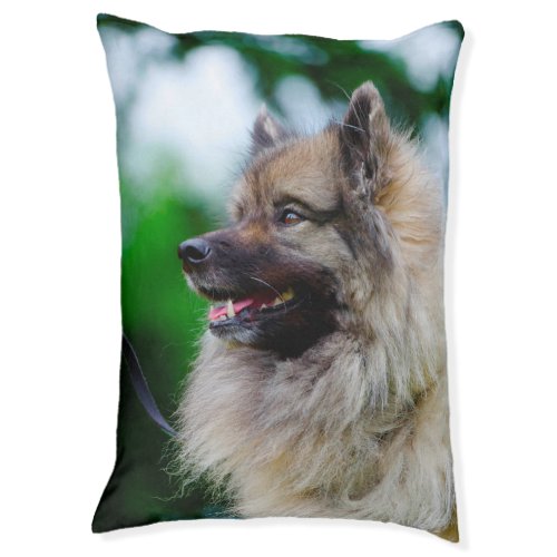 Keeshond Dog Bed Pet Bed