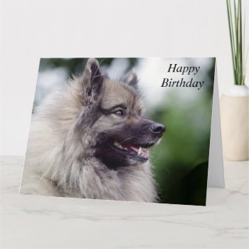 Keeshond Dog 'custom Card by roughcollie at Zazzle