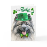 Keeshond