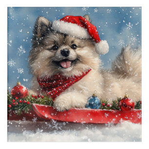 Keeshond Dog in Sledge Let it Snow Christmas Acrylic Print
