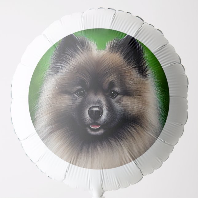 Keeshond Dog in St. Patrick's Day Dress Balloon (Front)