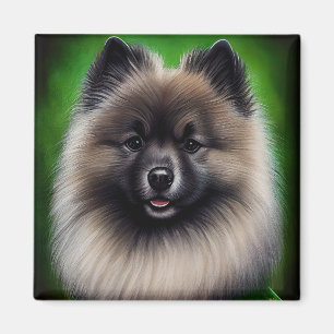Keeshond Dog in St. Patrick's Day Dress Magnet