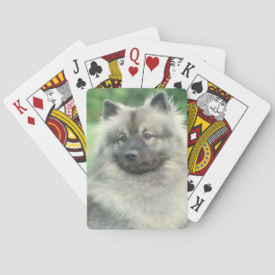 Keeshond Dog Playing Cards