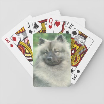 Keeshond Dog Playing Cards by walkandbark at Zazzle