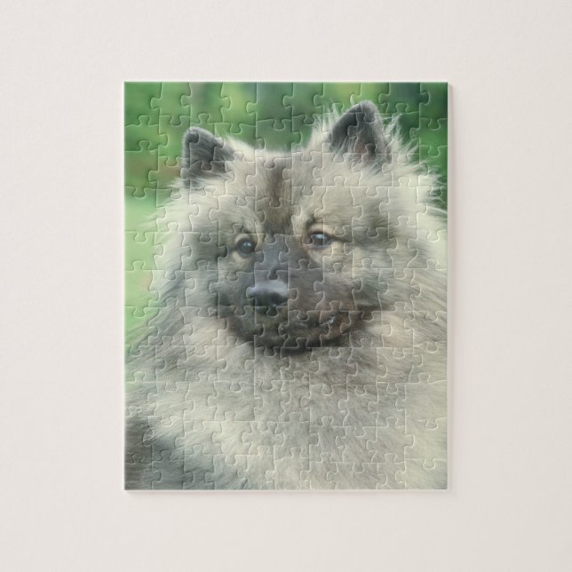 Keeshond Dog Puzzle (Vertical)