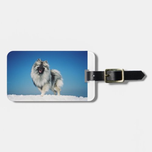 keeshond full in snowpng luggage tag