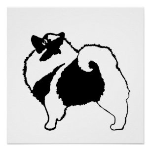 Keeshond Graphics - Cute Original Dog Art Poster