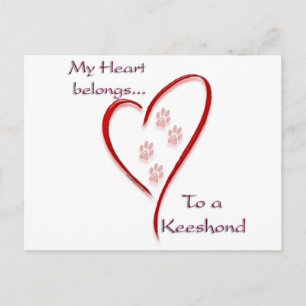 Keeshond Heart Belongs Postcard