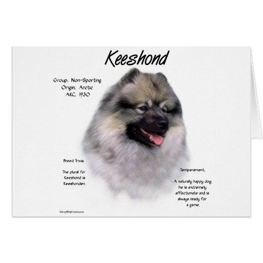Keeshond History Design Cards (Front Horizontal)