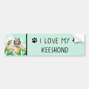Keeshond in Tulips Painting Cute Original Dog Art Bumper Sticker