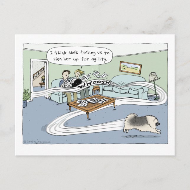 Keeshond "Livingroom Agility" Cartoon Postcard (Front)