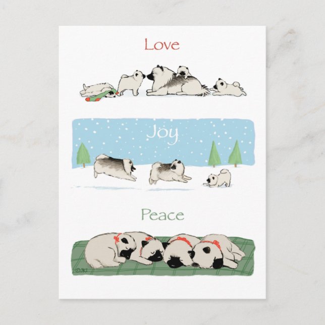 Keeshond Love Joy Peace | Cute Keesies Christmas Holiday Postcard (Front)