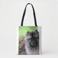 Keeshond--Love!