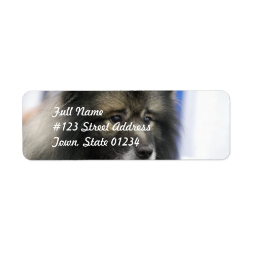 Keeshond Mailing Labels