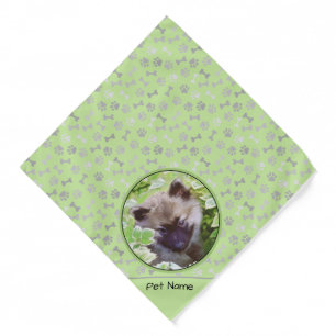 Keeshond Painting Puppy in the Garden Original Art Bandana