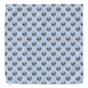 Keeshond Pair of Kees Painting Original Animal Art Bandana