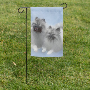 Keeshond Pair of Kees Painting Original Animal Art Garden Flag